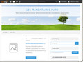 Les mandataires auto